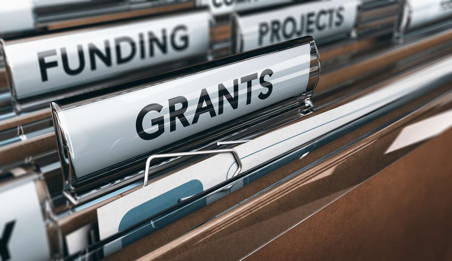 Research Capacity Building and Grant Opportunities
